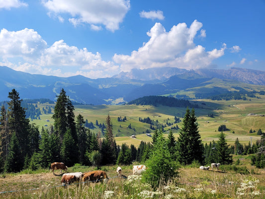 The Dolomites, Italy