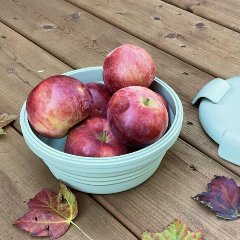 Stojo Collapsible Bowl 36oz 1065ml Singapore