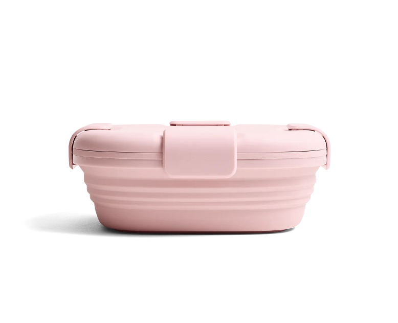 Stojo Collapsible Box 700ml Carnation Singapore