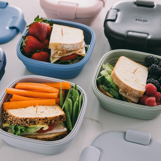 Stojo Collapsible Box 700ml Singapore