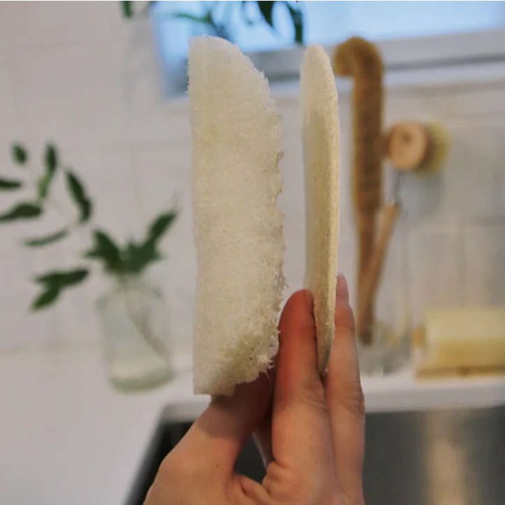 Biodegradable Natural Plant Fibre Dish Washing Sponge Singapore