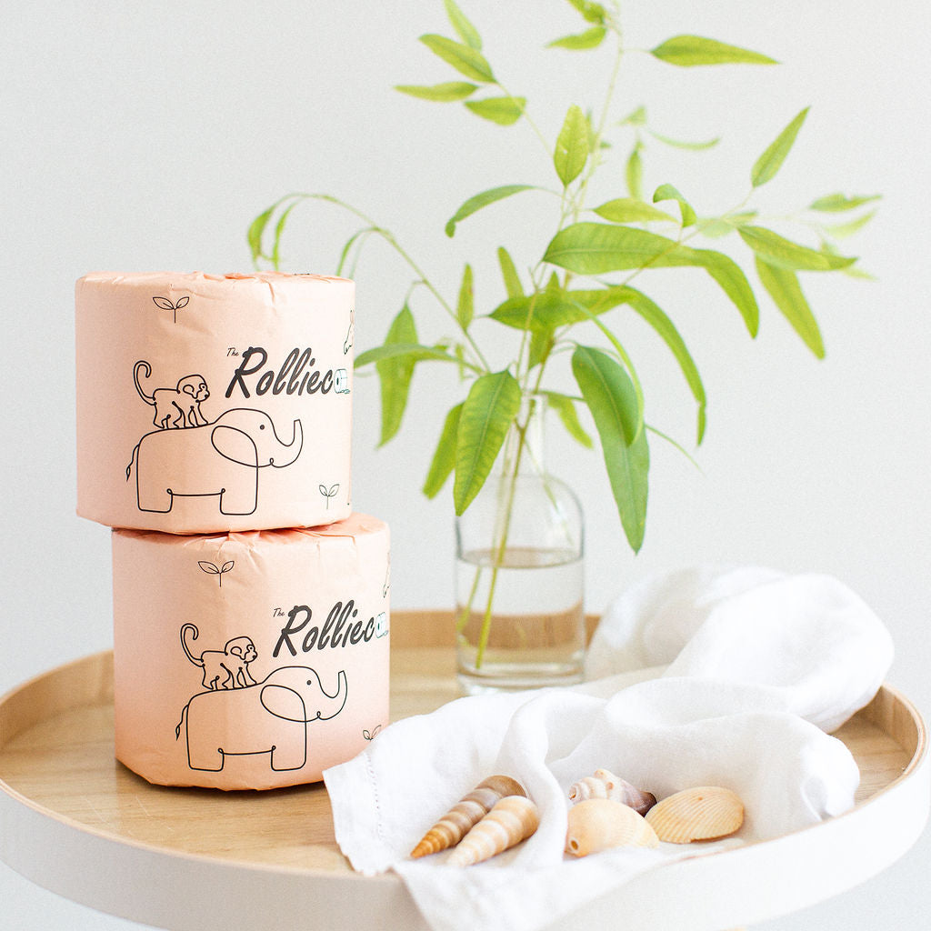 Eco-friendly Plastic Free Toilet Paper Rolls Singapore