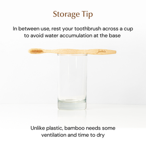 How to Store Bamboo Toothbrush Ultra Soft Bristle Singapore