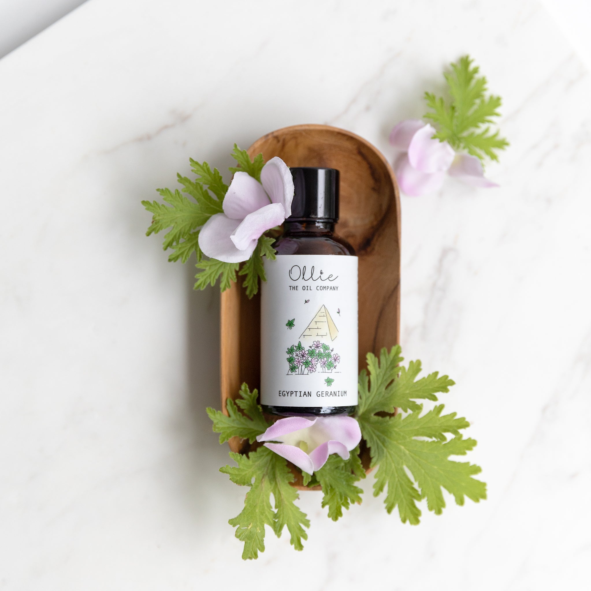 Egyptian Geranium Essential Oil  A Friend to the Feminine– Miracle  Botanicals Essential Oils