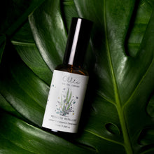 Natural Mosquito Repellent Spray Singapore