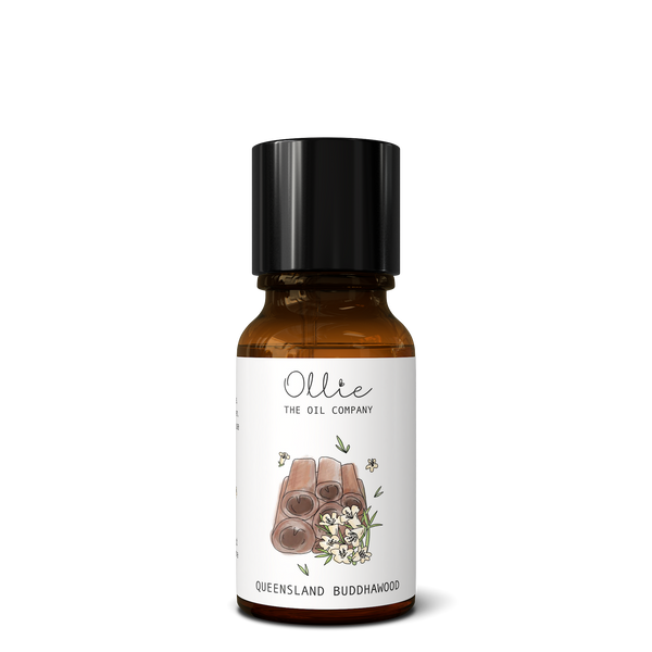 Essential Oil Queensland Buddhawood Your Sustainable Store