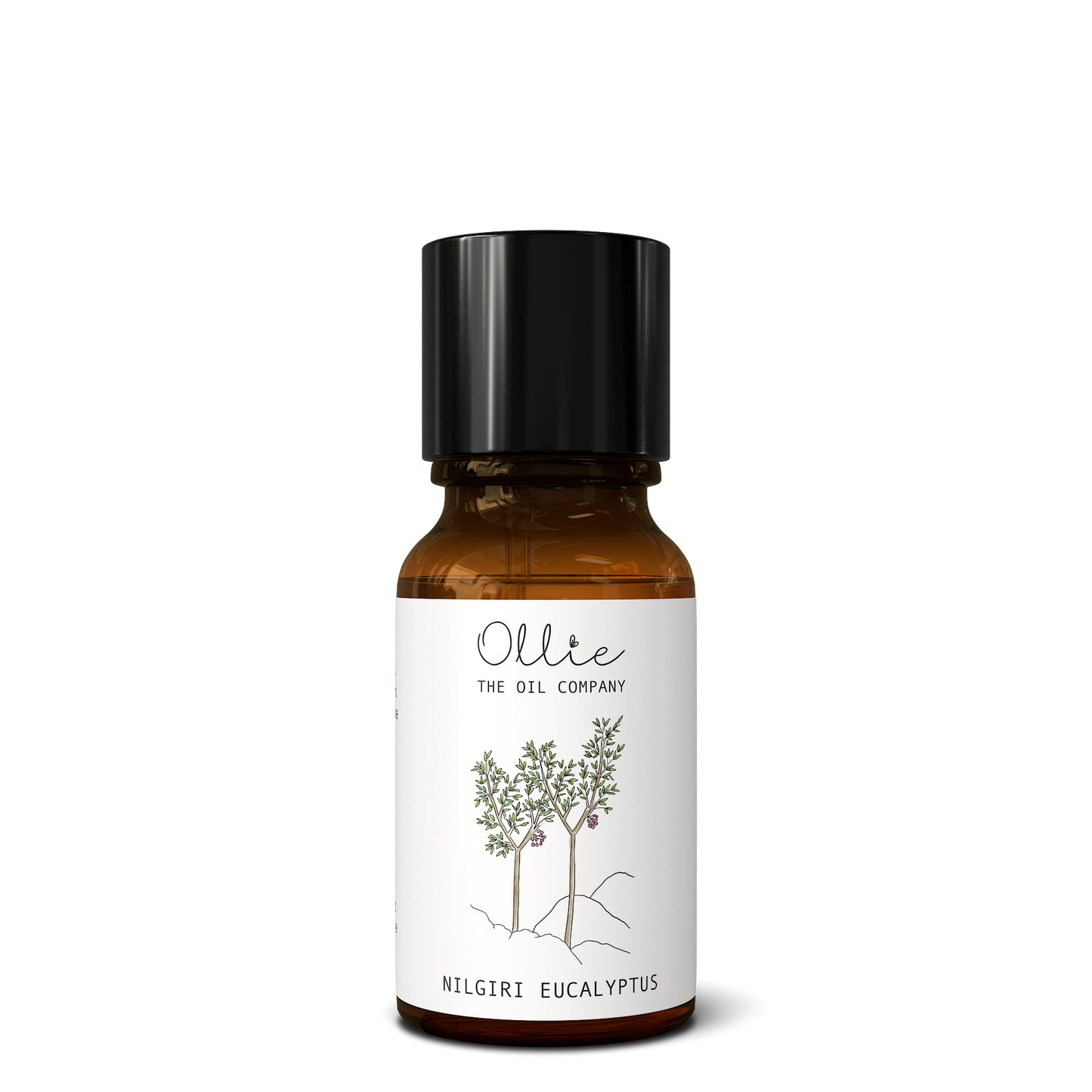 Sustainably Sourced Pure Eucalyptus Essential Oil Singapore
